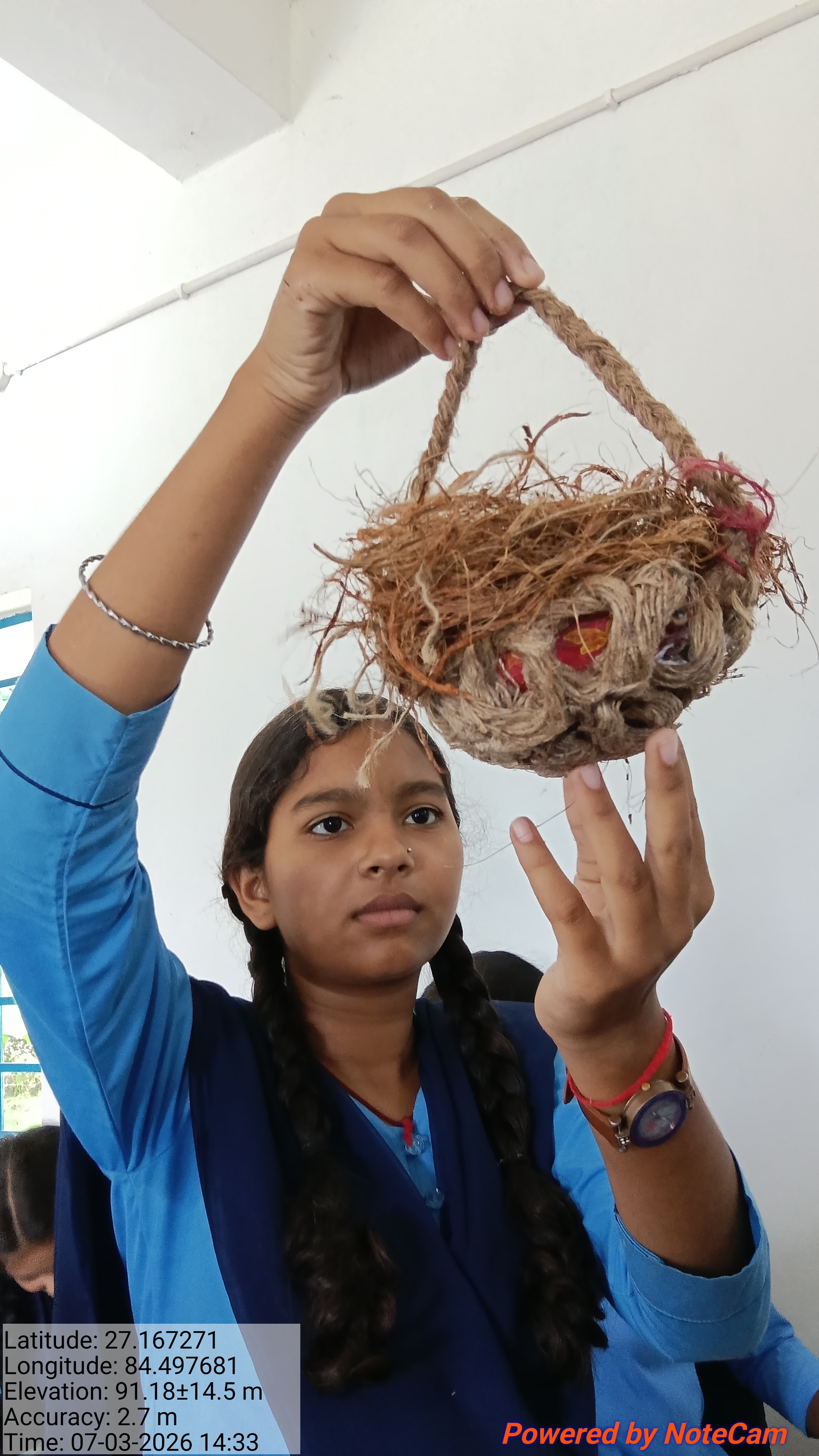 Bird House From Coconut